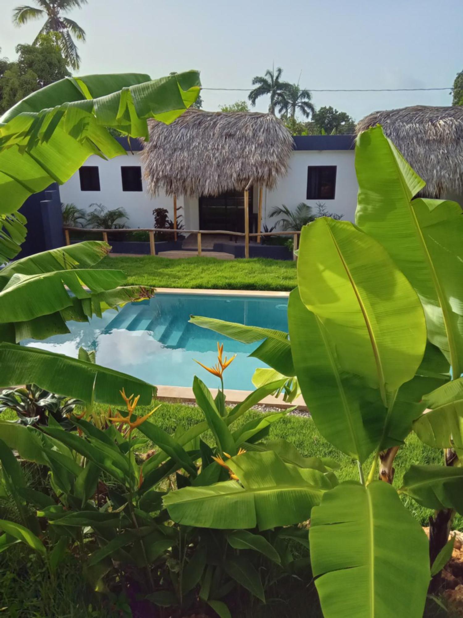 Bungalows Colibri Las Galeras Bagian luar foto