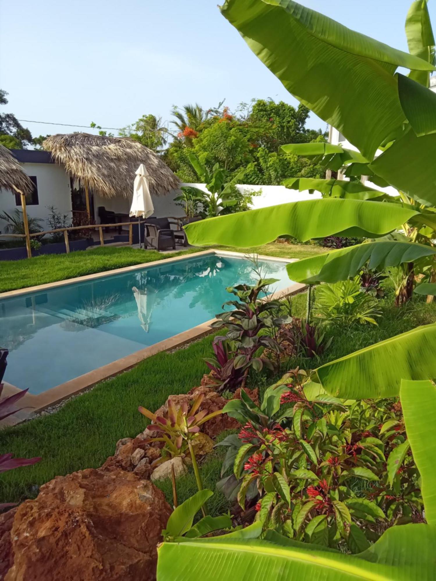 Bungalows Colibri Las Galeras Bagian luar foto
