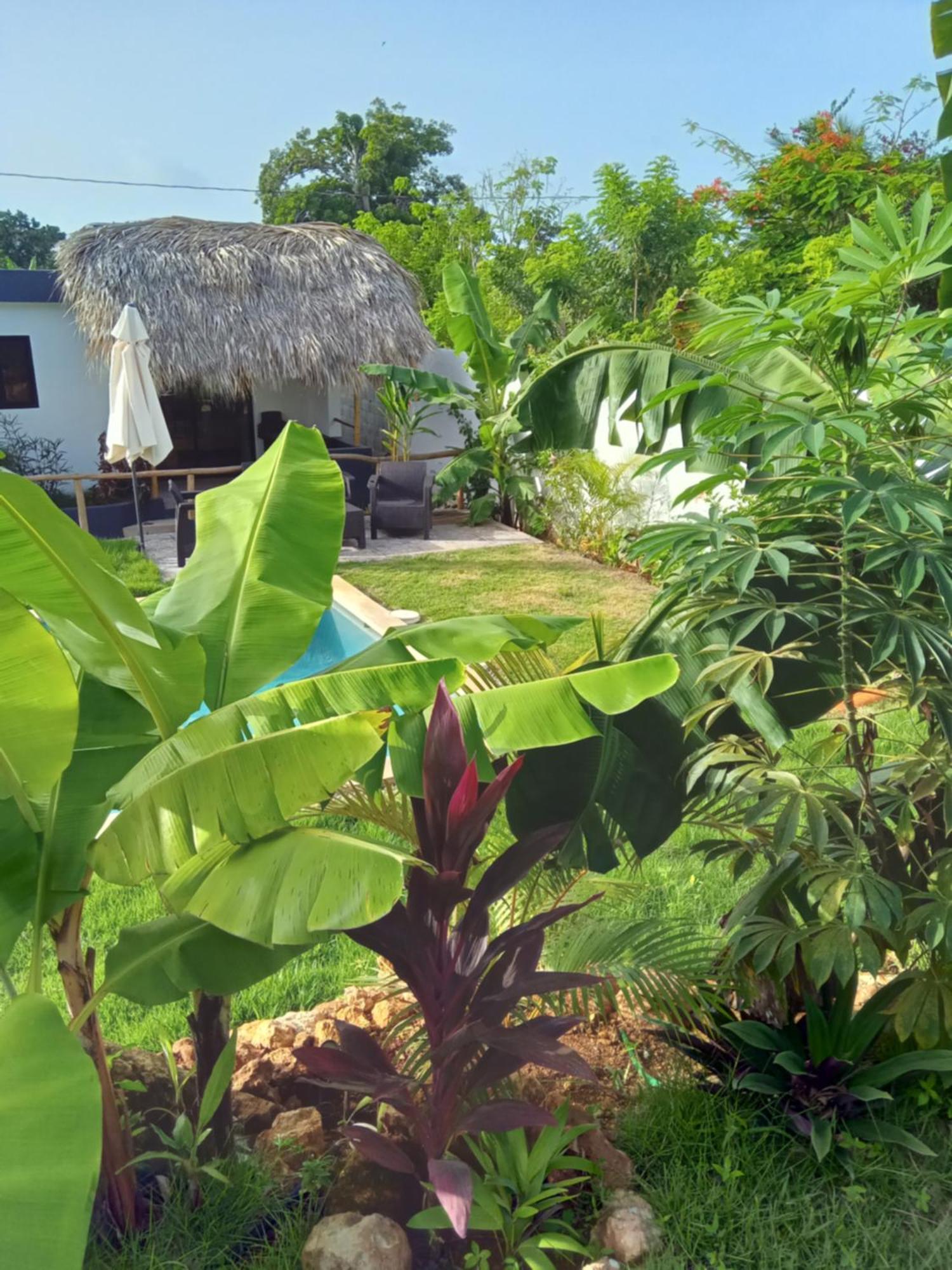 Bungalows Colibri Las Galeras Bagian luar foto