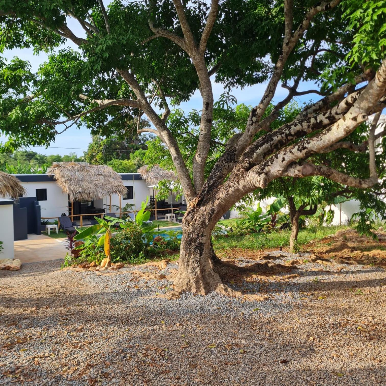 Bungalows Colibri Las Galeras Bagian luar foto