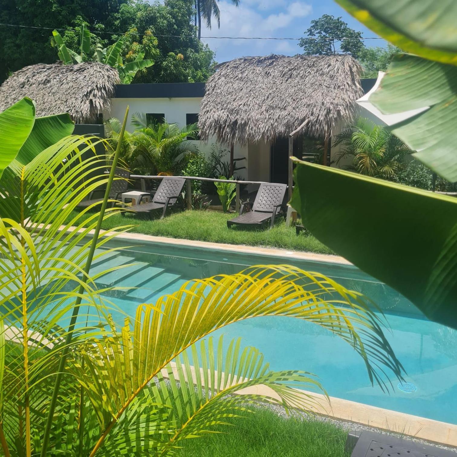 Bungalows Colibri Las Galeras Bagian luar foto