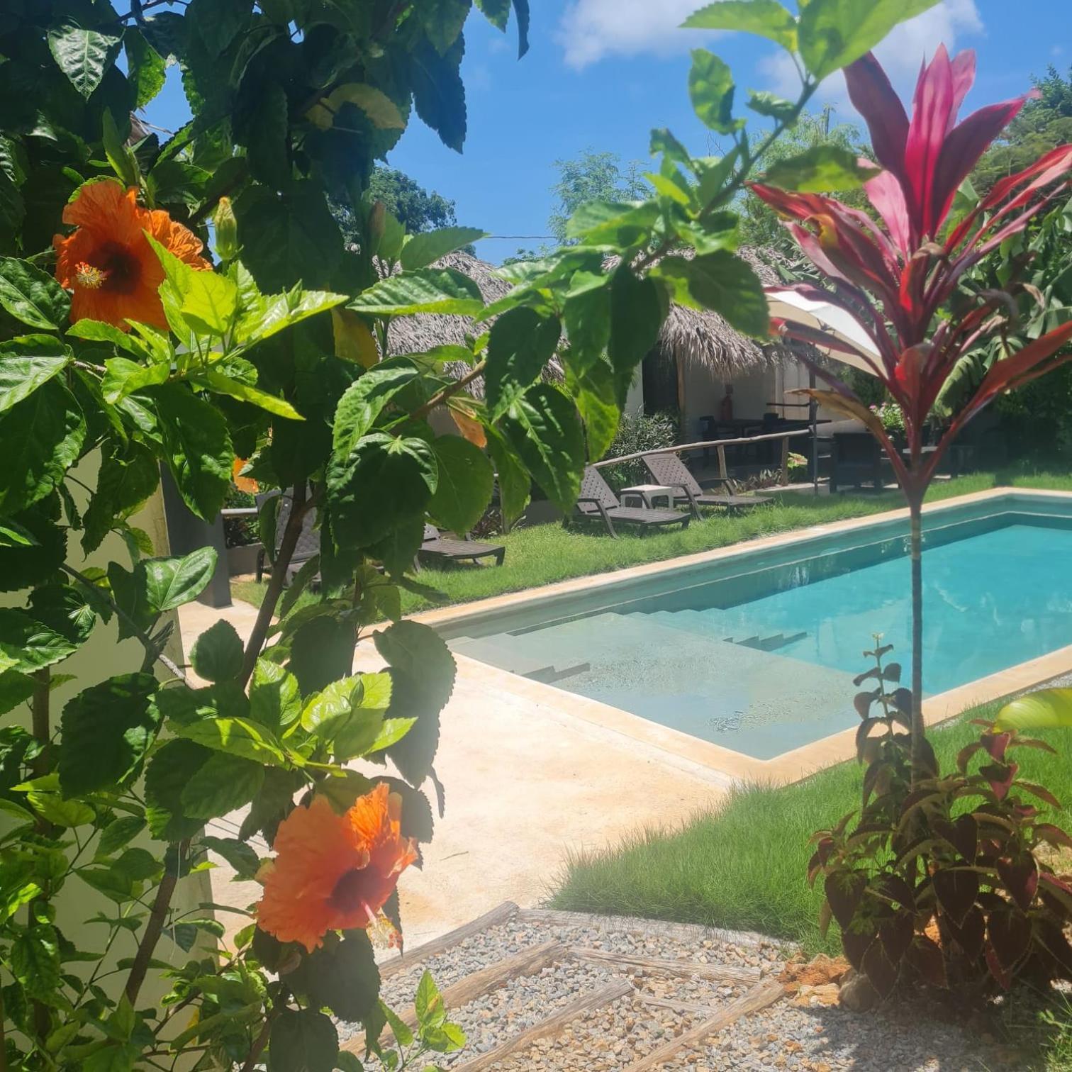 Bungalows Colibri Las Galeras Bagian luar foto