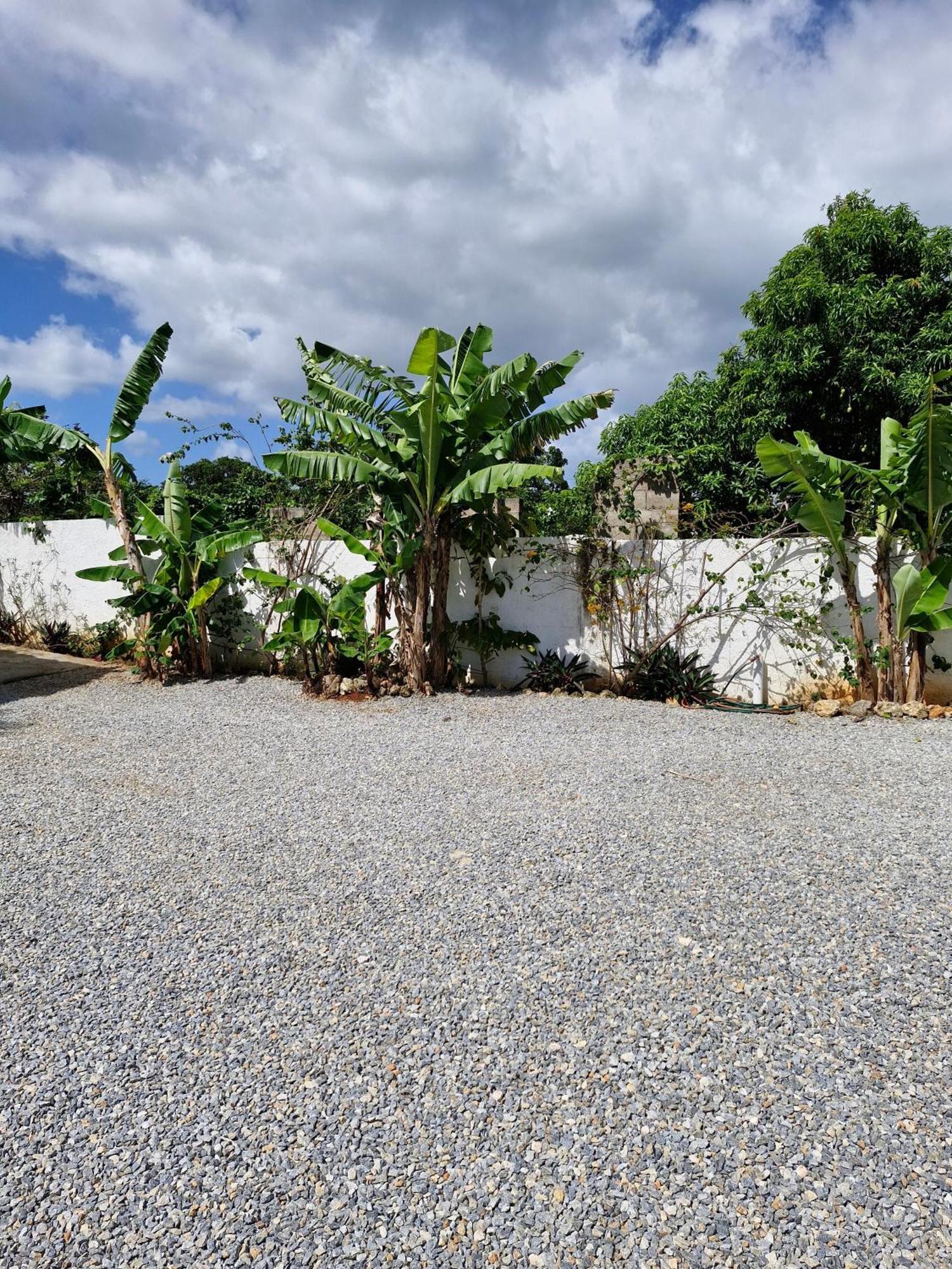 Bungalows Colibri Las Galeras Bagian luar foto