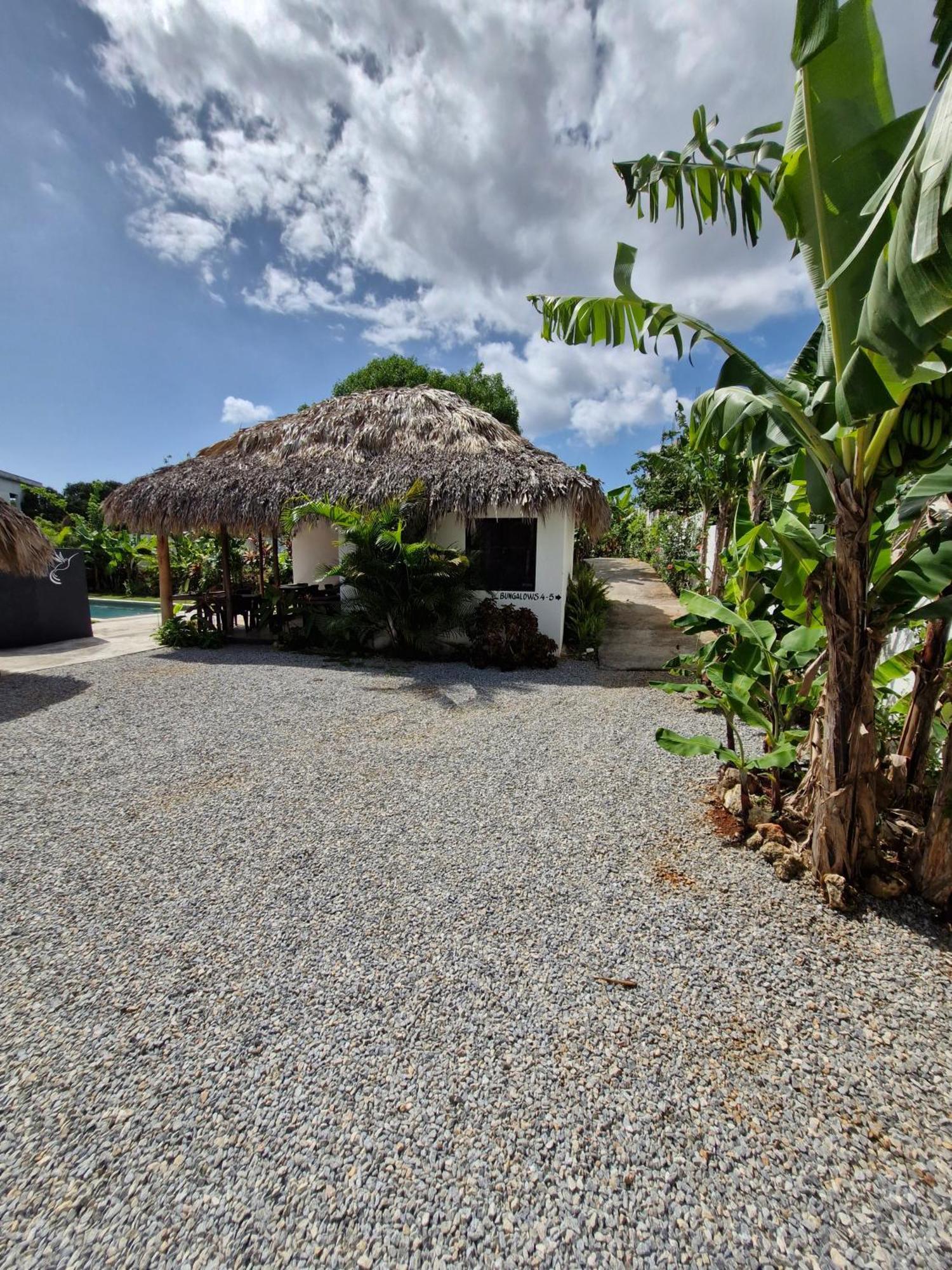 Bungalows Colibri Las Galeras Bagian luar foto