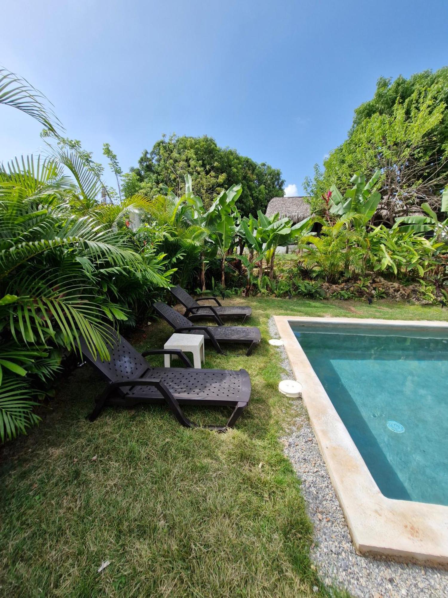 Bungalows Colibri Las Galeras Bagian luar foto